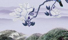 2023年刑太岁什么运