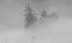 2022属鼠人运势运程