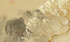 属牛人2023年财运方位