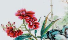 2023属马女可以怀孕吗