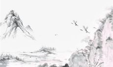 属猪人2022年全年运势运程女