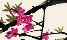 2022属马的全年运势与家人