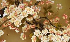 属鼠的兔年2023年咋样