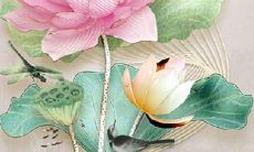 2023属马人幸运色