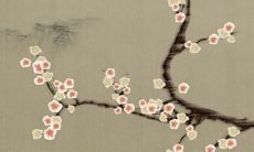 2023属龙人的全年运势女性