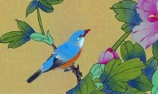 2023年属兔是什么颜色