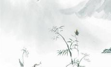 属虎五月份出生怎么破太岁