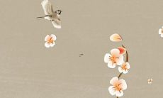 属马的人运气不好该怎转运 属马的人如何提升运势