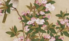 男处女座三区和女处女座二区配对