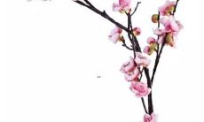 什么字配晗字女孩名字好听