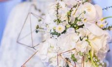 惹怒十二星座后果