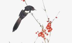 好听的舞蹈培训名字