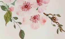 姓陈好听的名字