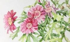 生辰八字免费起名100分