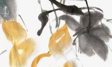 2022属鼠的全年运势1996