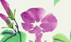 76年属龙人终身灾难 76年属龙人如何化解终生灾难