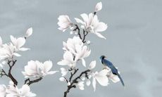 90年属马2022年的运势每月