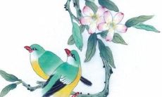 1998年属虎本命年可以结婚吗 98年24岁虎年本命年结婚会怎样