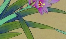 癸卯出生的人2022年的运势