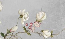 2021年属龙人犯太岁什么时候结束 属龙人犯太岁注意事项