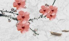 鼠人2022年全年运势及运程