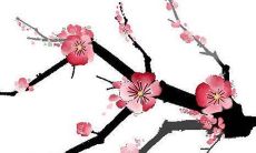 八字起名免费生辰八字取名字国学