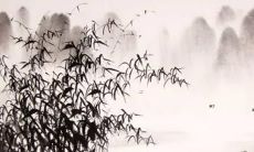 五行为水的名字女孩用字