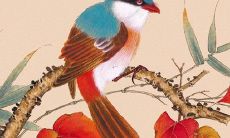 1988年女在2022年运势