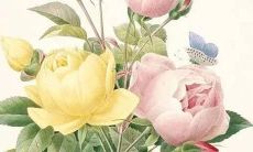 好听的专栏名字