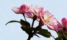 2022属狗的每月运势如何