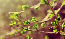 属兔和属龙女适合做夫妻吗 属兔和属龙能合伙做生意吗