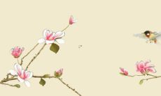 2022年属虎两喜 属虎人本命年会有哪些喜事发生