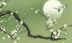 80年属猴男42岁有一灾 80年属猴人2022年运势