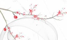 丙戌年2022年壬寅年运势