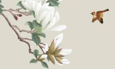 1999年属兔23岁姻缘 23岁属兔人最佳结婚对象