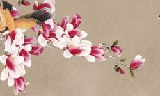 2022年属牛全年运势1961