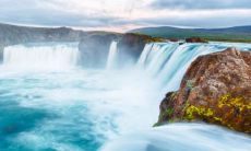 梦见老鼠是什么征兆 梦见老鼠爬到自己床上