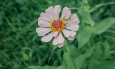 梦见男孩是小人还是贵人 梦见男孩撒尿是什么梦