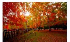 八字无印的女人会怎么样 八字无印好不好