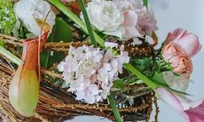 6月25日生日书，6月25日是什么星座：巨蟹座