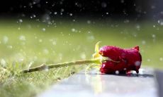 闺蜜群名称大全霸气十足 闺蜜群名字简单气质