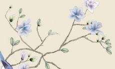 虎年犯太岁属相对照表