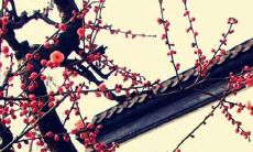 属猴2022年东南方向运势