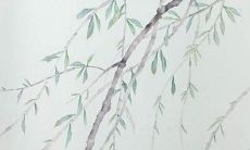 天秤男2022年爱情运势