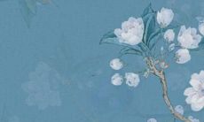 2022狗的运势麦玲玲