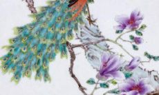 1960年男命2022年运势