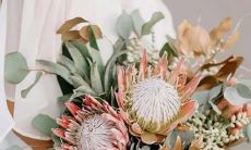 星座里第六宫的含义