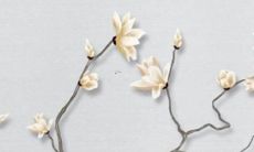 2022年92猴人全年运势