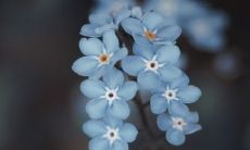 狗跟虎的人合得来吗 狗跟虎的属相合不合财