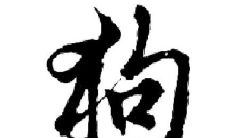 1982年属狗2021年刑太岁怎么化解，82年生肖狗犯太岁要佩戴什么